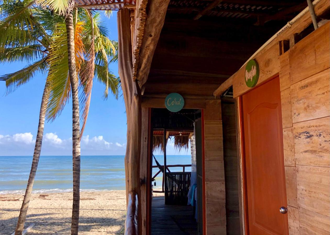 Palmario Hostal Guachaca Exterior foto