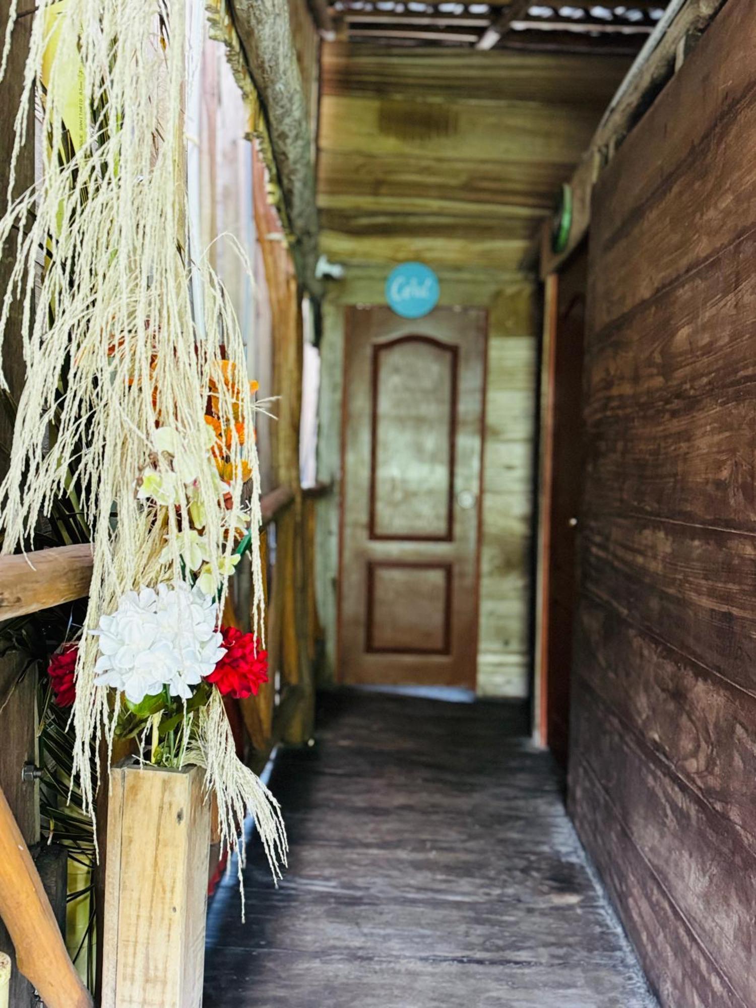 Palmario Hostal Guachaca Exterior foto